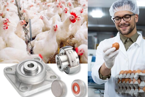 nint fodd grade bearings